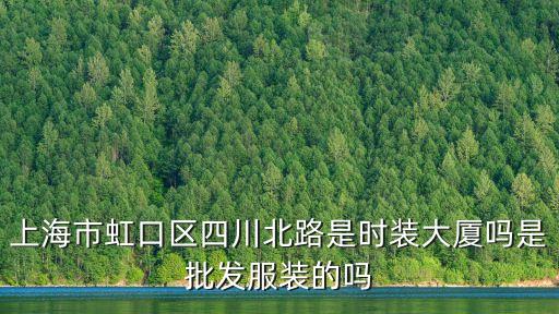 上海市四川北路星薈大廈，上海市虹口區(qū)四川北路是時裝大廈嗎是批發(fā)服裝的嗎