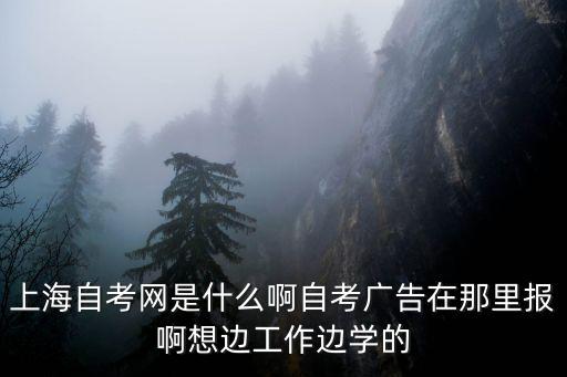 上海自考網是什么啊自考廣告在那里報啊想邊工作邊學的