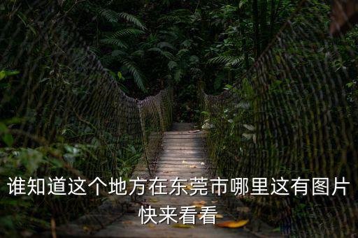 誰知道這個地方在東莞市哪里這有圖片快來看看