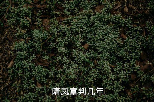  隋鳳富判幾年