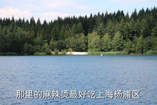 上海市楊浦區鳳城6村，上海楊浦區鳳城六村屬于哪一個派出所