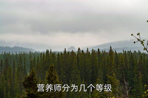 國(guó)際注冊(cè)營(yíng)養(yǎng)師,注冊(cè)國(guó)際i營(yíng)養(yǎng)師國(guó)內(nèi)認(rèn)可度比aci高一些