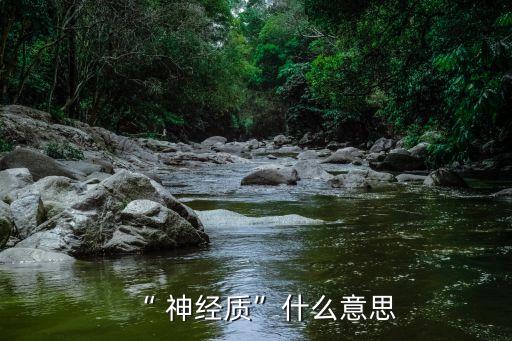 神經質人格,神經質人格與神經官能癥有何關系?