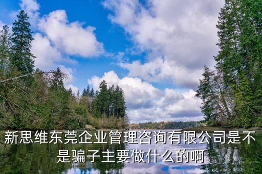 新思維東莞企業(yè)管理咨詢(xún)有限公司是不是騙子主要做什么的啊