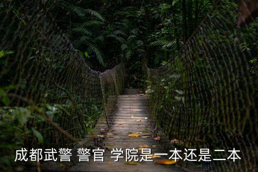 武警部隊警官學院,武警警官學院畢業去向:畢業后為武警官員或公務員