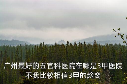 廣州最好的五官科醫(yī)院在哪是3甲醫(yī)院不我比較相信3甲的趁離