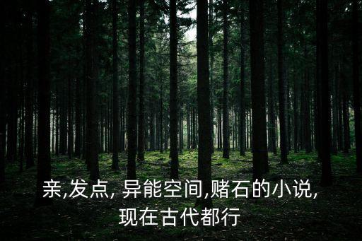 親,發(fā)點, 異能空間,賭石的小說,現(xiàn)在古代都行
