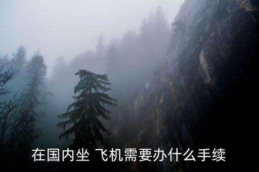 坐飛機需要什么證件,一歲寶寶坐飛機需要什么證件
