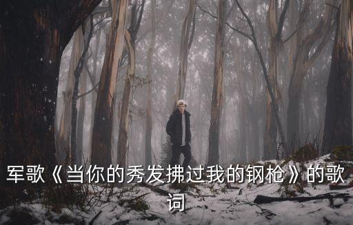 當(dāng)兵的日子,當(dāng)兵的感想作文怎么寫
