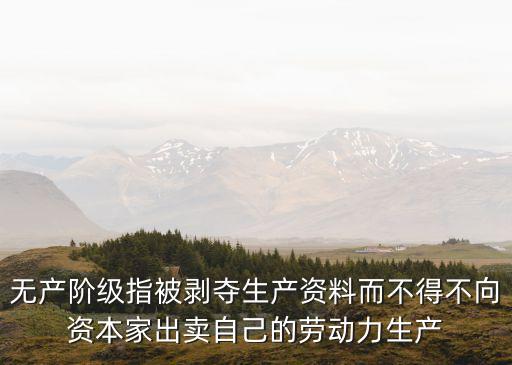 無(wú)產(chǎn)階級(jí)指被剝奪生產(chǎn)資料而不得不向資本家出賣自己的勞動(dòng)力生產(chǎn)