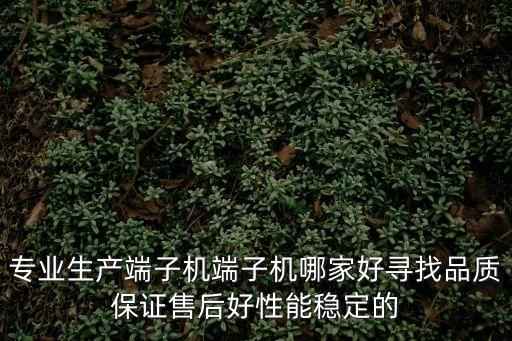 專業(yè)生產(chǎn)端子機(jī)端子機(jī)哪家好尋找品質(zhì)保證售后好性能穩(wěn)定的