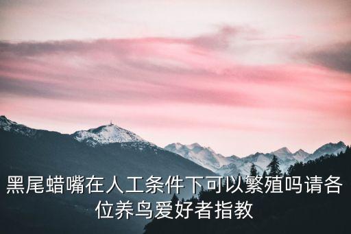 黑頭蠟嘴雀,怎么飼養?黑頭蠟嘴雀不算值錢