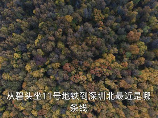深圳北到碧頭站地鐵，從碧頭坐11號地鐵到深圳北最近是哪條線