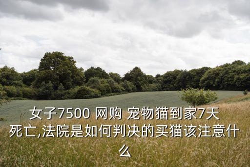 網(wǎng)購寵物,網(wǎng)購毒蛇當(dāng)寵物為何寵物還能網(wǎng)購?