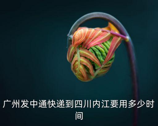 廣州發(fā)中通快遞到四川內(nèi)江要用多少時(shí)間
