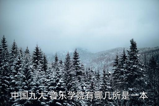 武漢音樂學院是幾本,武漢音樂學院是一本?