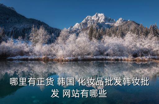 哪里有正貨 韓國 化妝品批發韓妝批發 網站有哪些