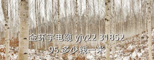金環宇電纜 yjv22 3185295 多少錢一米