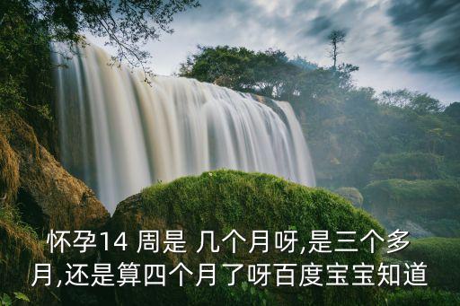 14周是幾個月,懷孕14周6天算幾個月了?