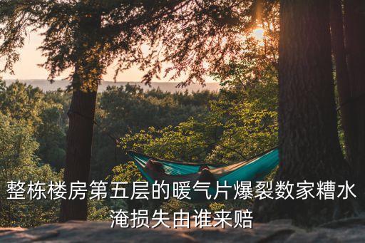 整棟樓房第五層的暖氣片爆裂數家糟水淹損失由誰來賠