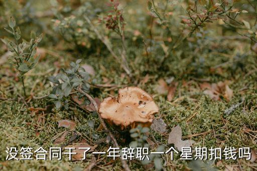廣州力乾，廣州有做換熱器的廠家嗎自產自銷的那種