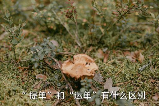 提單是什么,什么是目的港提單?