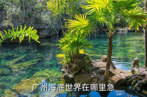 廣州海底世界在哪里急