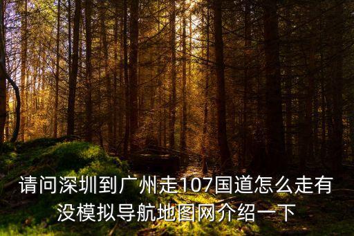 深圳107國道地鐵線路圖，求深圳地鐵線路圖