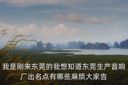 東莞充電藍牙音箱供應商，我是剛來東莞的我想知道東莞生產音響廠出名點有哪些麻煩大家告