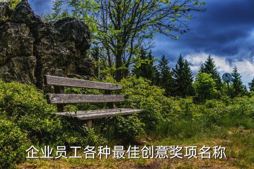 企業(yè)員工各種最佳創(chuàng)意獎(jiǎng)項(xiàng)名稱