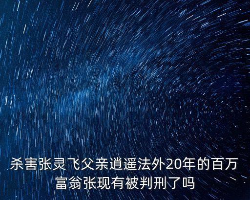 深圳百萬富翁被殺案，百萬富翁的小明 才20幾歲 他是怎么死