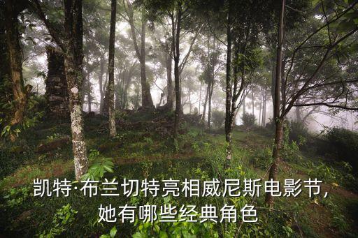 美麗的凱特