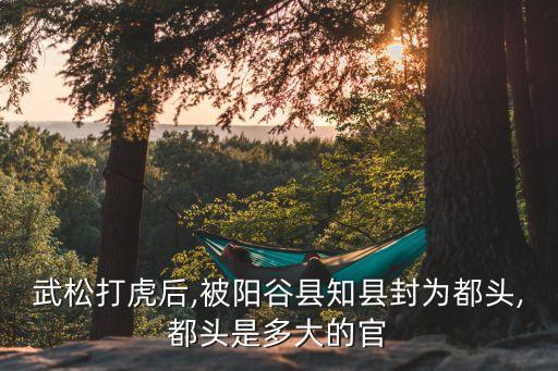 都頭相當(dāng)于現(xiàn)在什么官,都頭在古代相當(dāng)于什么?