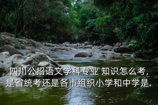 四川公招語文學科專業(yè) 知識怎么考,是省統(tǒng)考還是各市組織小學和中學是...