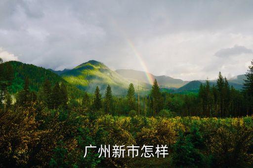 廣州新市怎樣