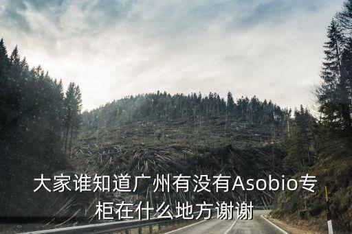 大家誰知道廣州有沒有Asobio專柜在什么地方謝謝