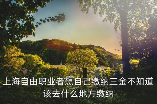 上海自由職業者想自己繳納三金不知道該去什么地方繳納