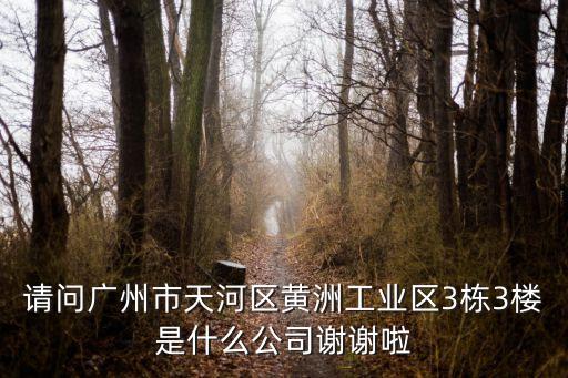 請(qǐng)問(wèn)廣州市天河區(qū)黃洲工業(yè)區(qū)3棟3樓是什么公司謝謝啦
