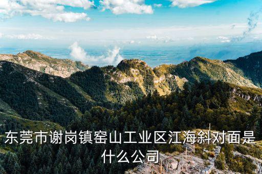 東莞守泰貿易公司，東莞市謝崗鎮窯山工業區江海斜對面是什么公司