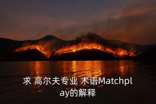 求 高爾夫專業 術語Matchplay的解釋