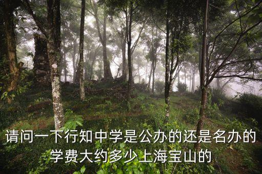 請問一下行知中學(xué)是公辦的還是名辦的學(xué)費大約多少上海寶山的