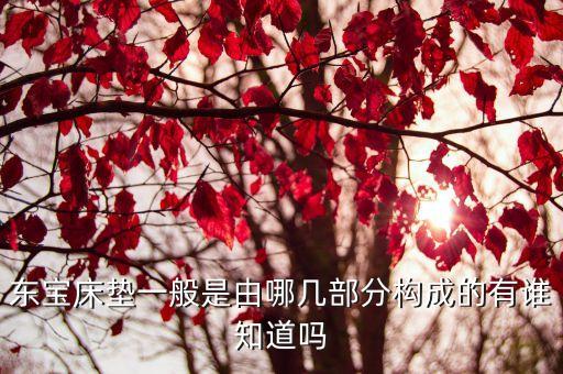 東寶床墊一般是由哪幾部分構成的有誰知道嗎