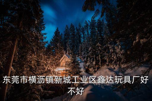 東莞市橫瀝鎮(zhèn)新城工業(yè)區(qū)鑫達(dá)玩具廠好不好
