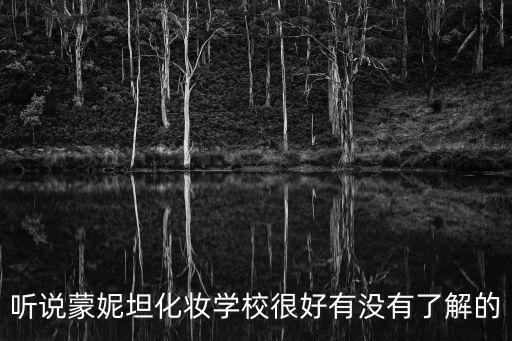 聽說蒙妮坦化妝學校很好有沒有了解的