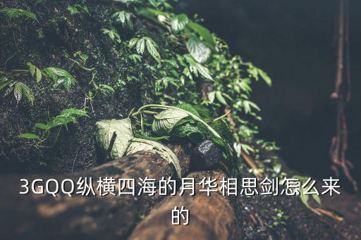 3GQQ縱橫四海的月華相思劍怎么來(lái)的