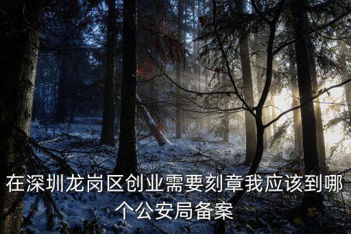 在深圳龍崗區創業需要刻章我應該到哪個公安局備案