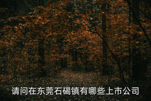請問在東莞石碣鎮有哪些上市公司