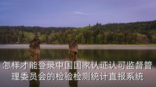 怎樣才能登錄中國國家認證認可監督管理委員會的檢驗檢測統計直報系統