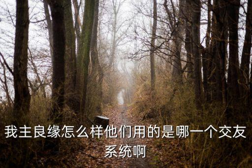 我主良緣怎么樣他們用的是哪一個(gè)交友系統(tǒng)啊