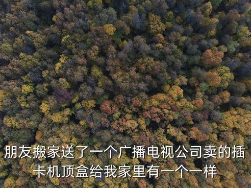 朋友搬家送了一個廣播電視公司賣的插卡機頂盒給我家里有一個一樣